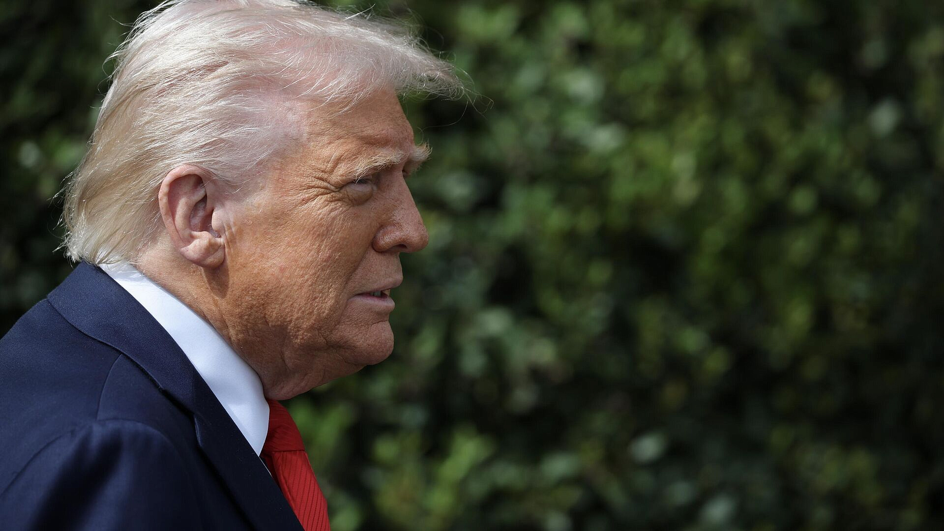 ����� ������ ����������� ����������� "������� ����������"