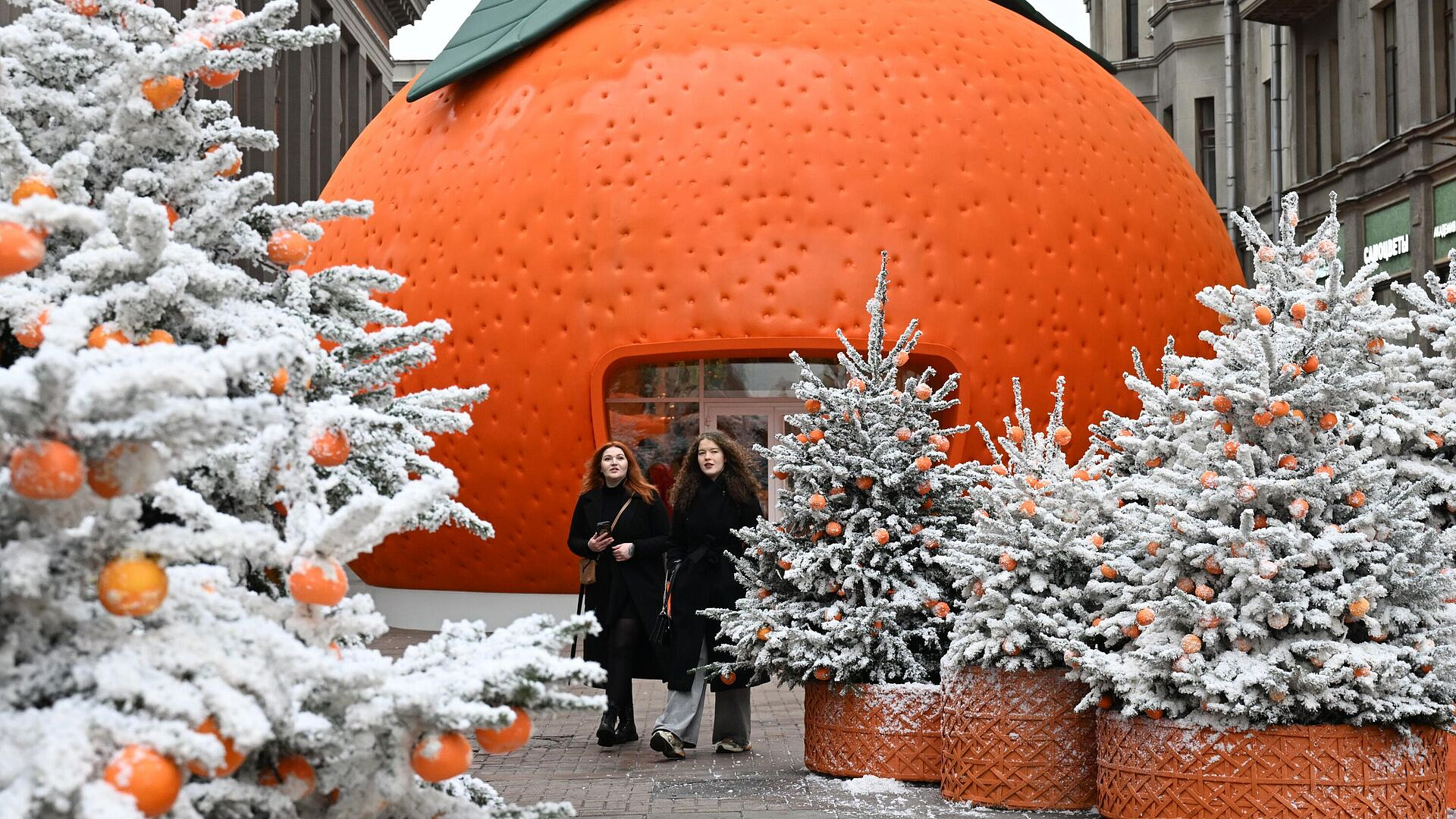 ��������� ������ ����� �������� �� ��� ���������� ���