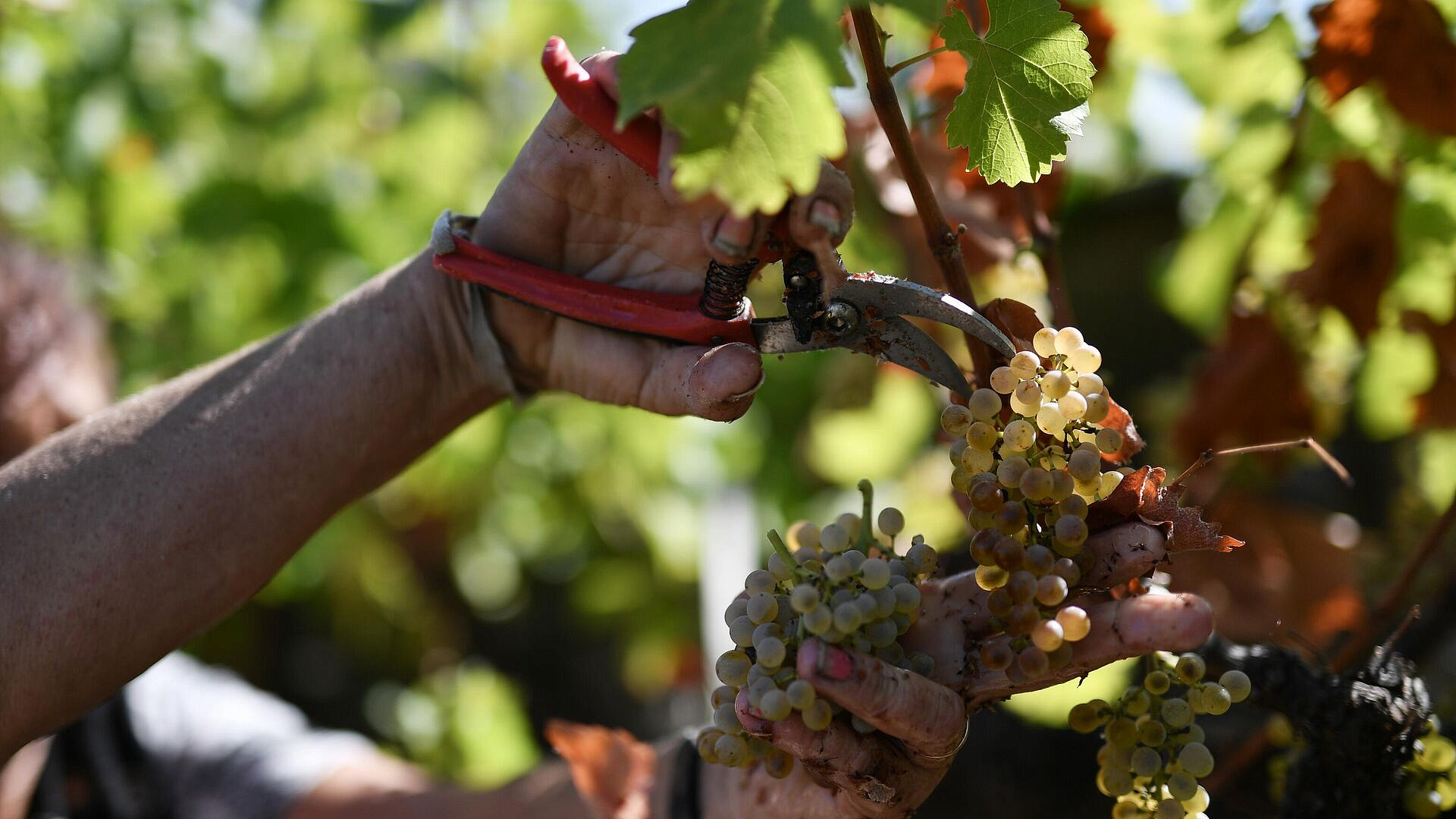 ������ �� 2025 ��� ������ � ����� ��������� ����� ���������