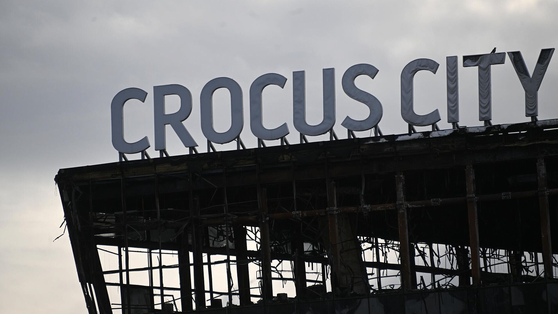 ���������� �������� ������� ���������, ������ ����������� ������