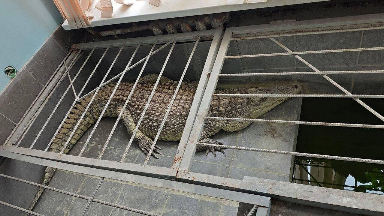 � ������ ������������� "������� ��", ��� ���������� ��������, ������� �����