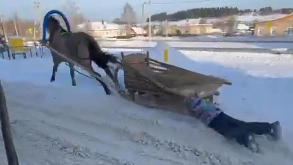 � �������� ���� �������� �����, �� ������� ������ ����� ������� �� �����