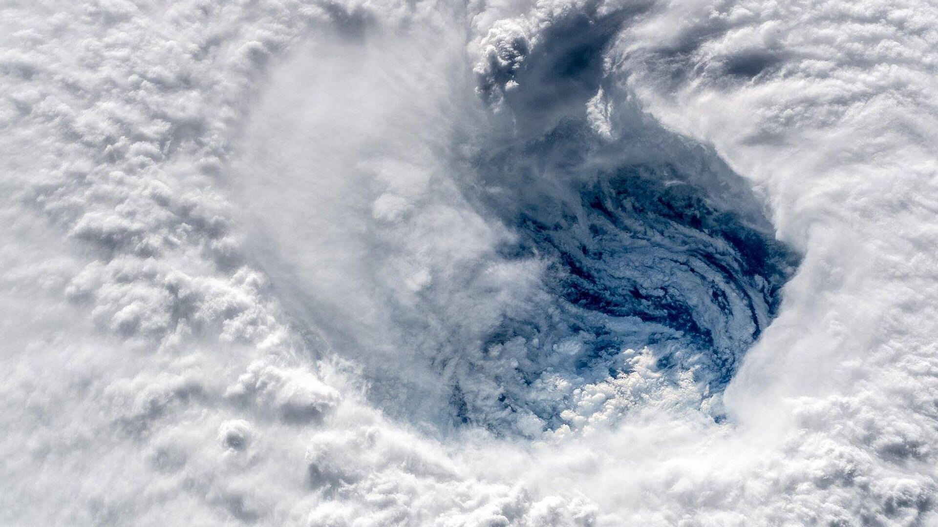 "��� � �������": ����� ������ ��������� ���� � ����� ������� ����������