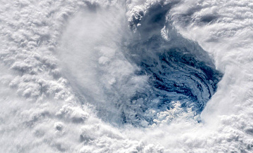 "��� � �������": ����� ������ ��������� ���� � ����� ������� ����������