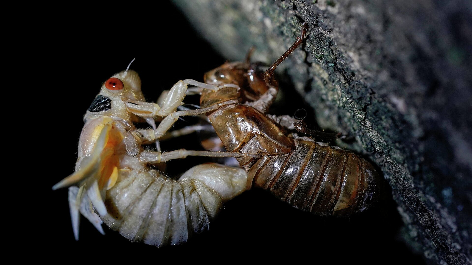 ���: ��������� ���������� ����� ��������� � ��� ������� �� 221 ���