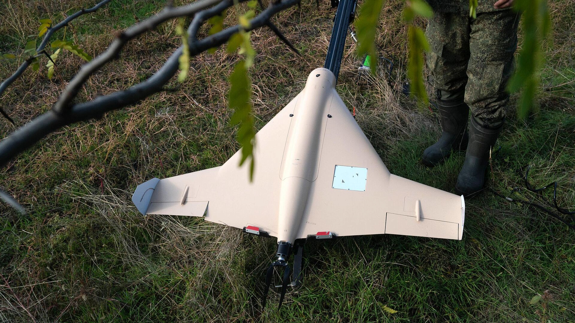 ����������� ��������� � ���������� � ���� ��� ������������� �����������