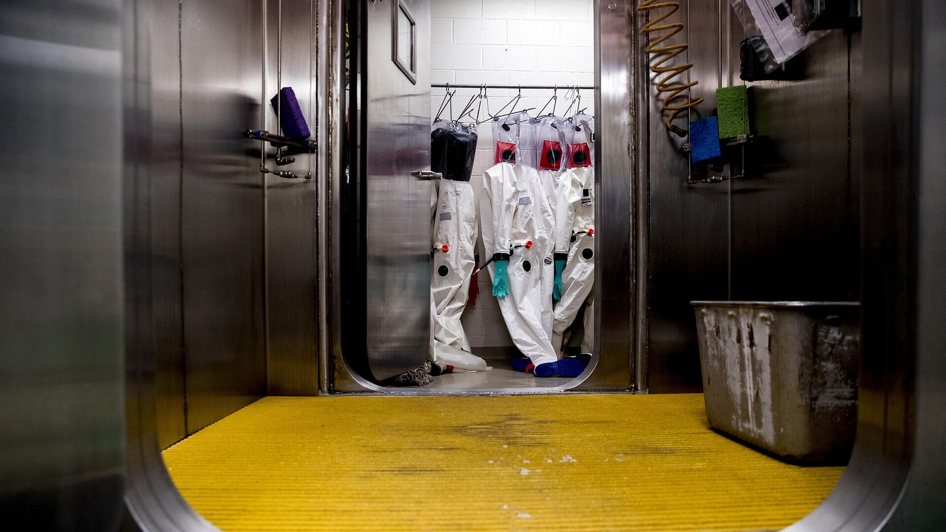 � ��� �������� �������� ������ �� ���������� ���������������