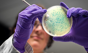 "Невозможно создать вакцину": ученый забил тревогу из-за опасных бактерий