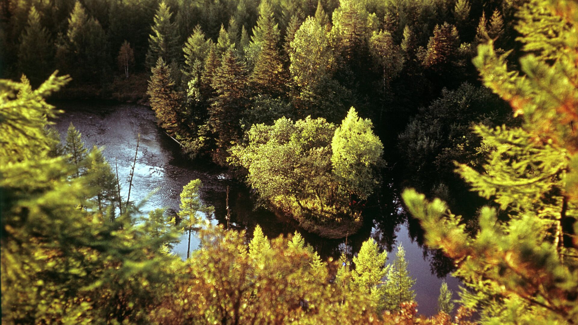 В двух реках в Приамурье вода поднялась на 120 сантиметров после дождей