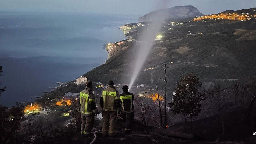 Глава МЧС призвал активно применять дроны для борьбы с лесными пожарами