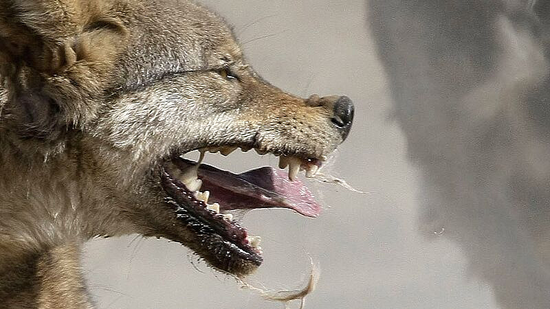 ��������������� ������ �������� ��������� ��������� � ������