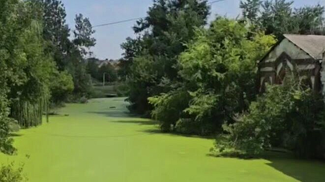 � ���������� ������� �������� ���������� � ������� ����