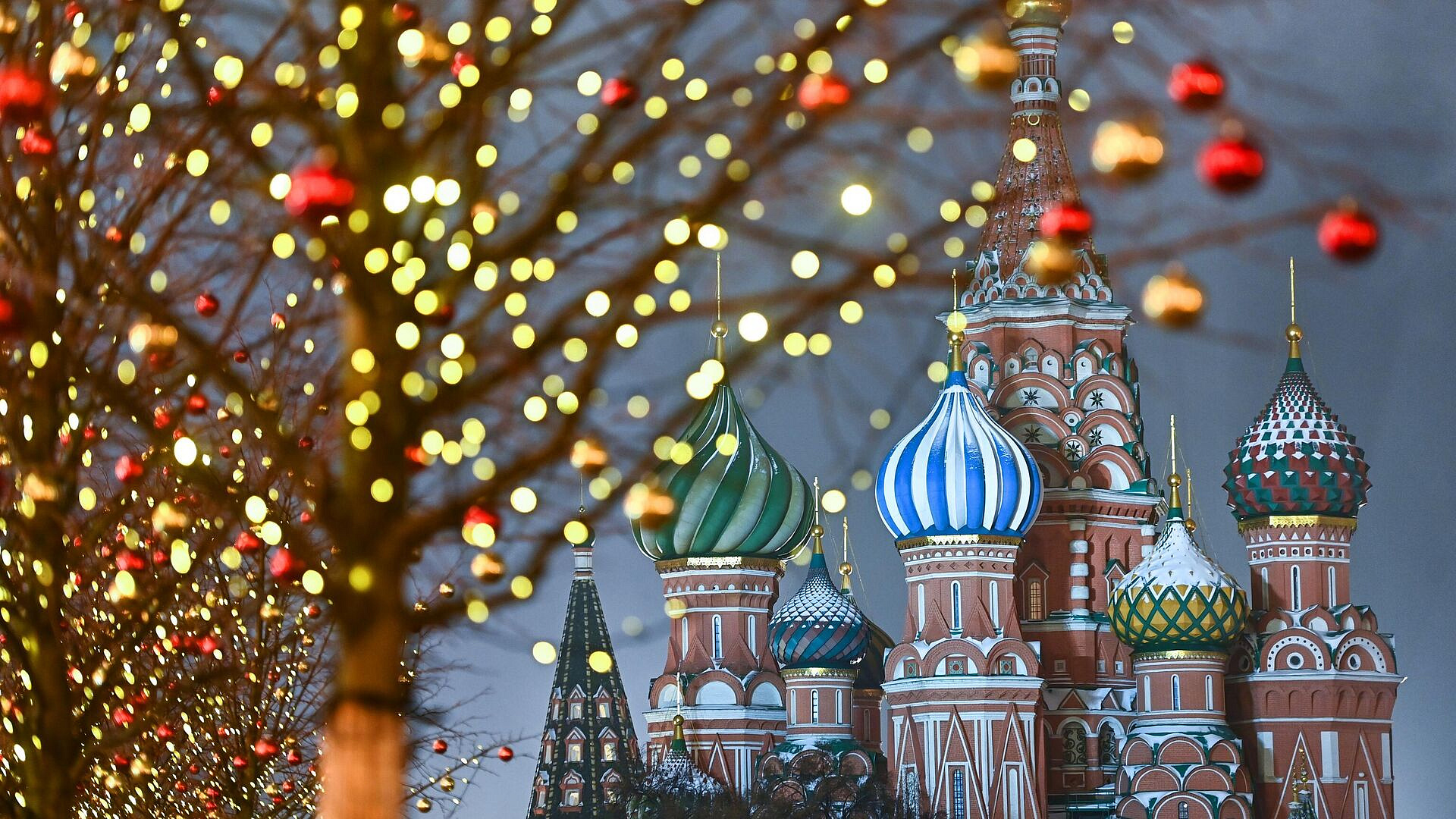 ����� ����������, �� ����� ������ �� ������� ������� ����� �������� �����