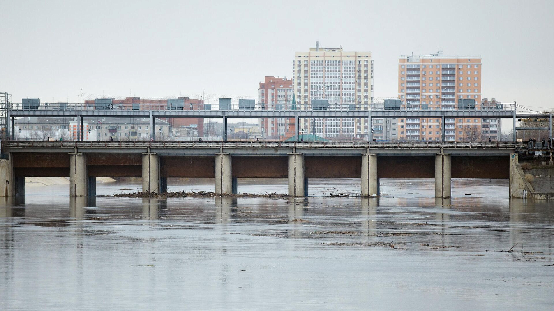 В Кургане уроженку Украины лишили гражданства России за угрозу безопасности