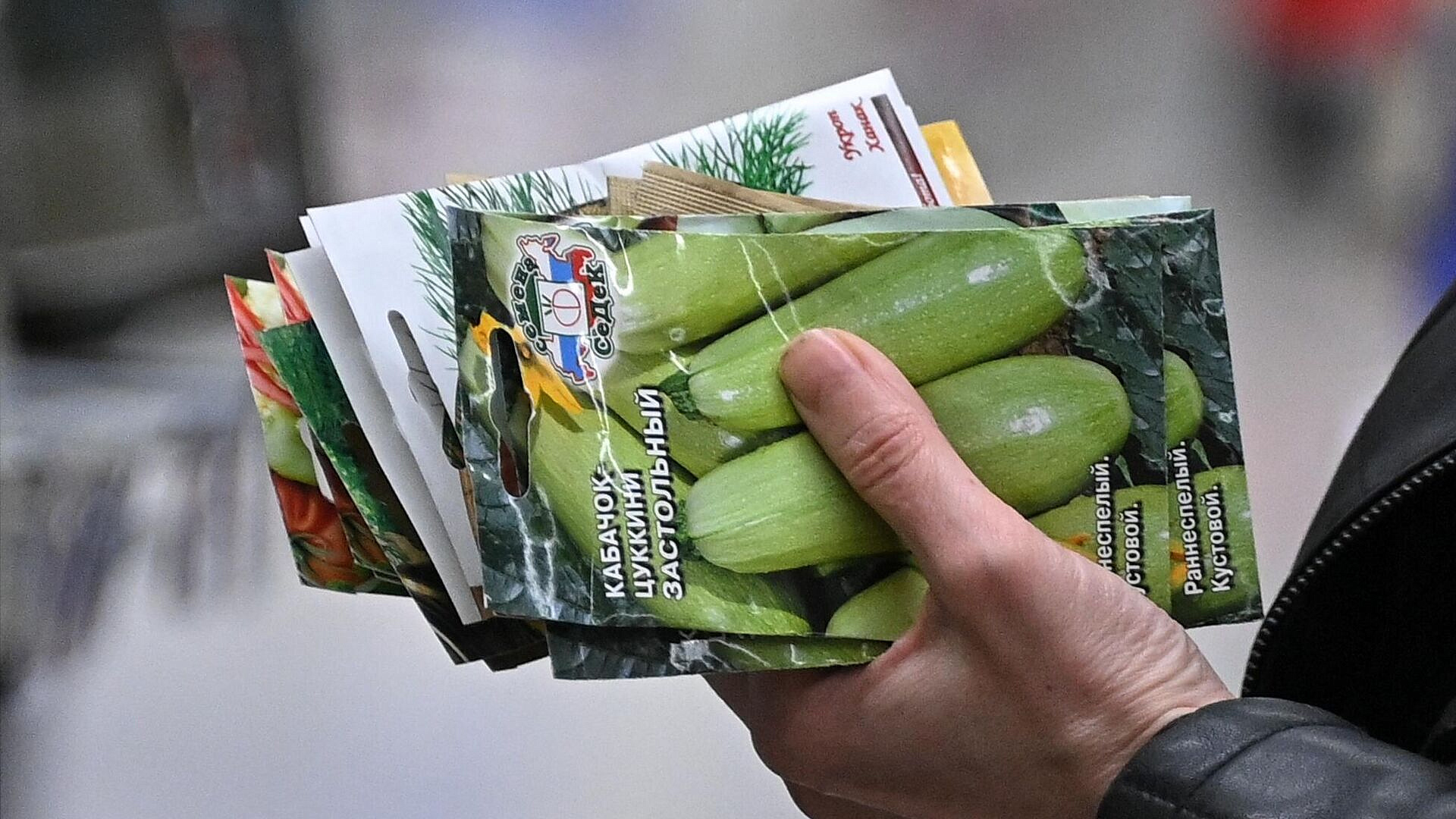 Эксперт рассказала, как не купить фальшивые семена на маркетплейсах