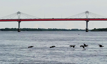 Белорусские компании заинтересовались логистикой в Китай через мост в Хэйхэ