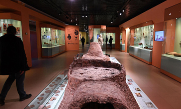 Куликово поле. Более 100 тысяч артефактов, доказывающих прошлое