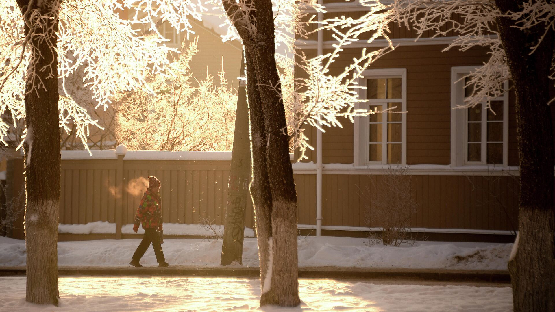 ����������� � ������ �������� ������� ������ � �������