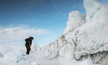 Совфед принял закон о расширении Арктической зоны России