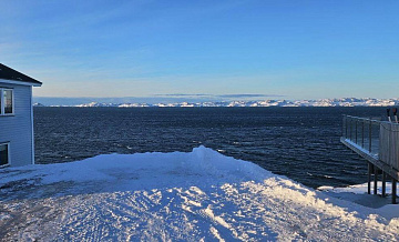 Союзники США в недоумении из-за плана по Гренландии, пишут СМИ