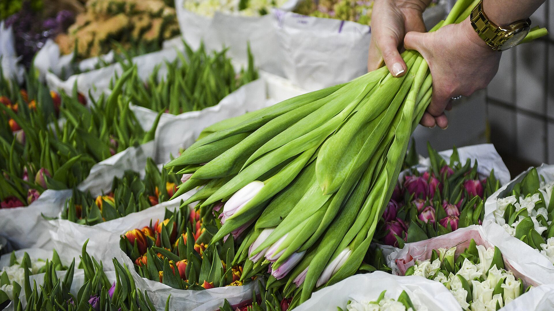 Минсельхоз рассказал о ситуации с обеспечением российского рынка цветами