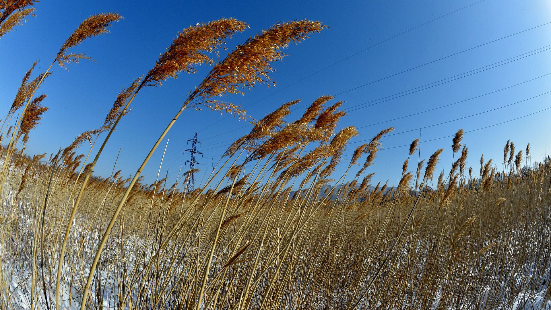 ����������� ����� ������� � ������ ������� � 1,5 ����