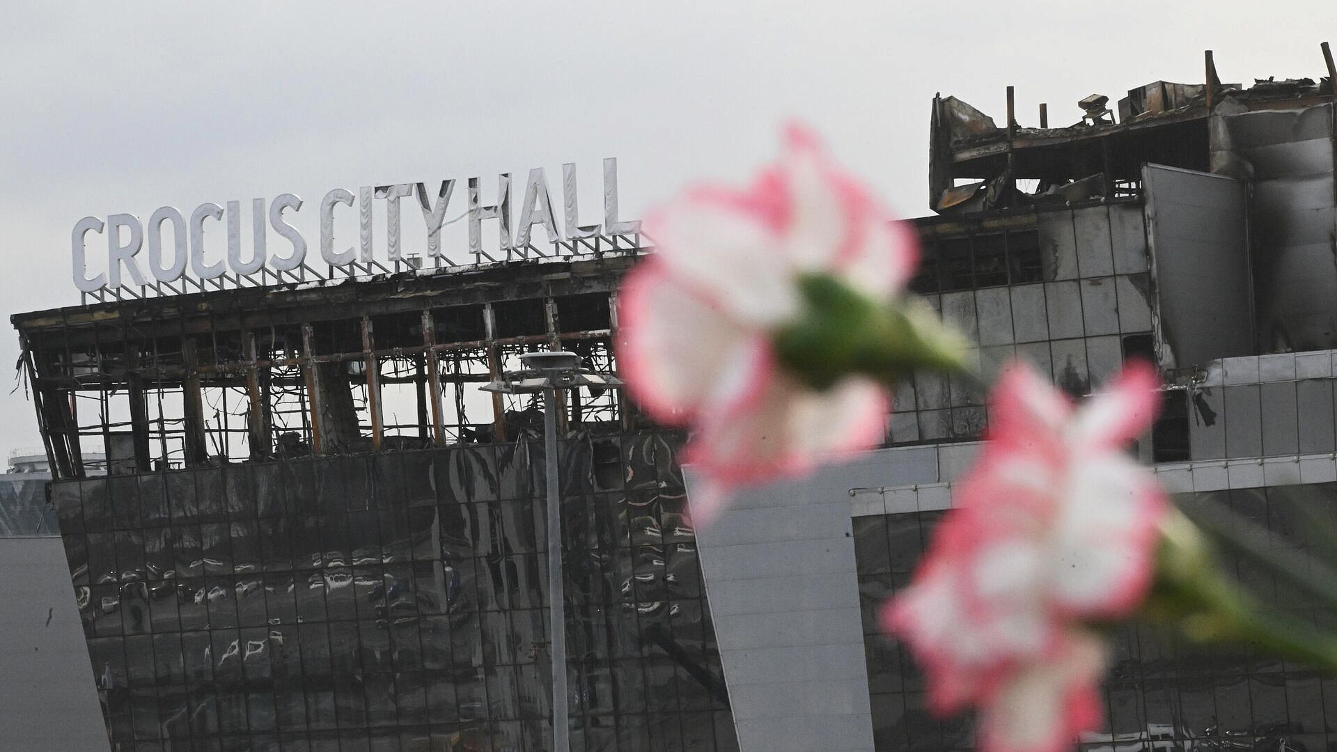 Программу помощи семьям раненых и погибших в "Крокусе" продлили до 1 июля