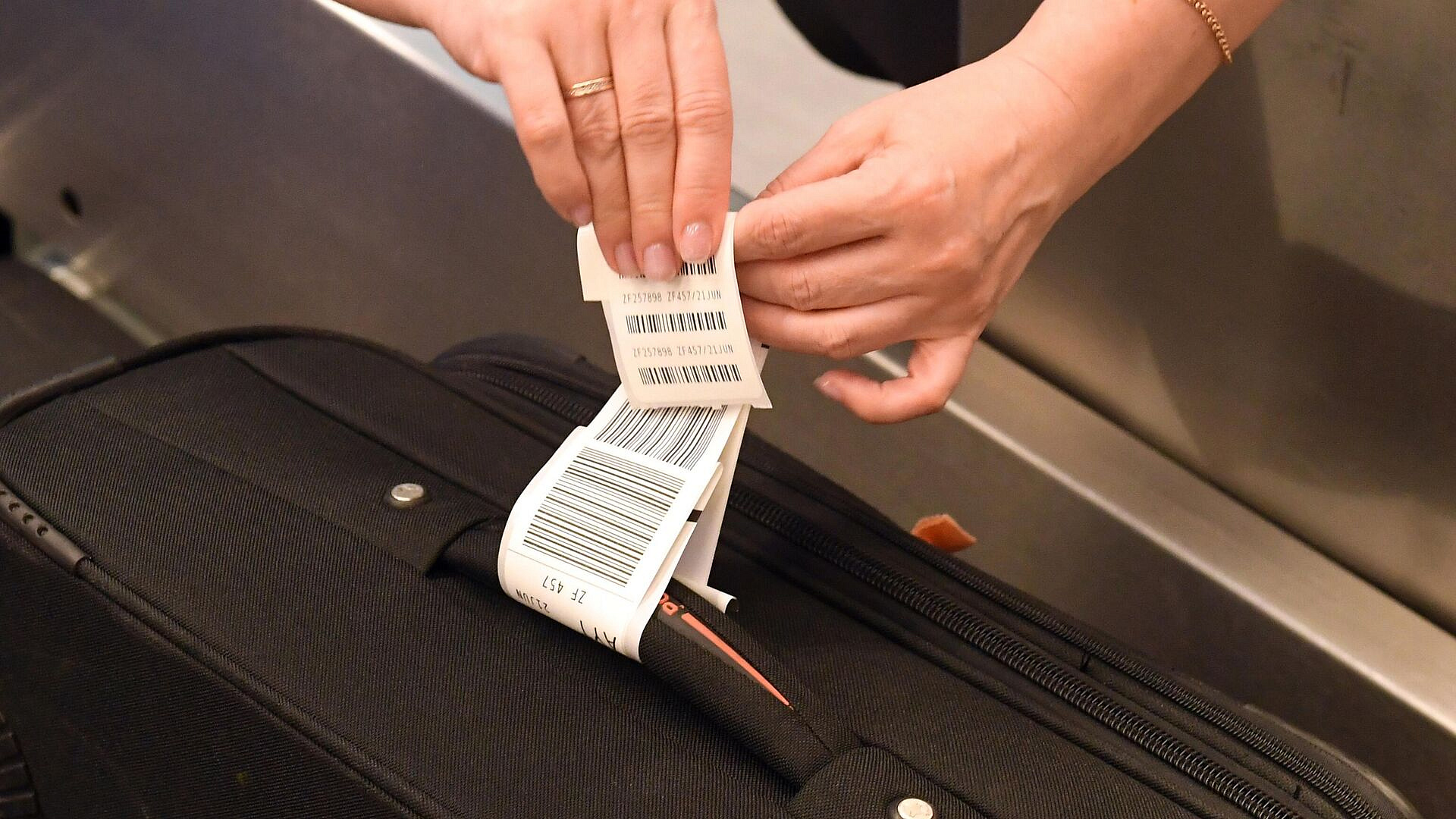 ����� �������� ������ ���������� ����������� ��������� ����������