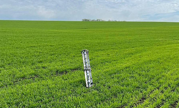 Гладков намерен обратиться за господдержкой для компенсации ущерба аграриям