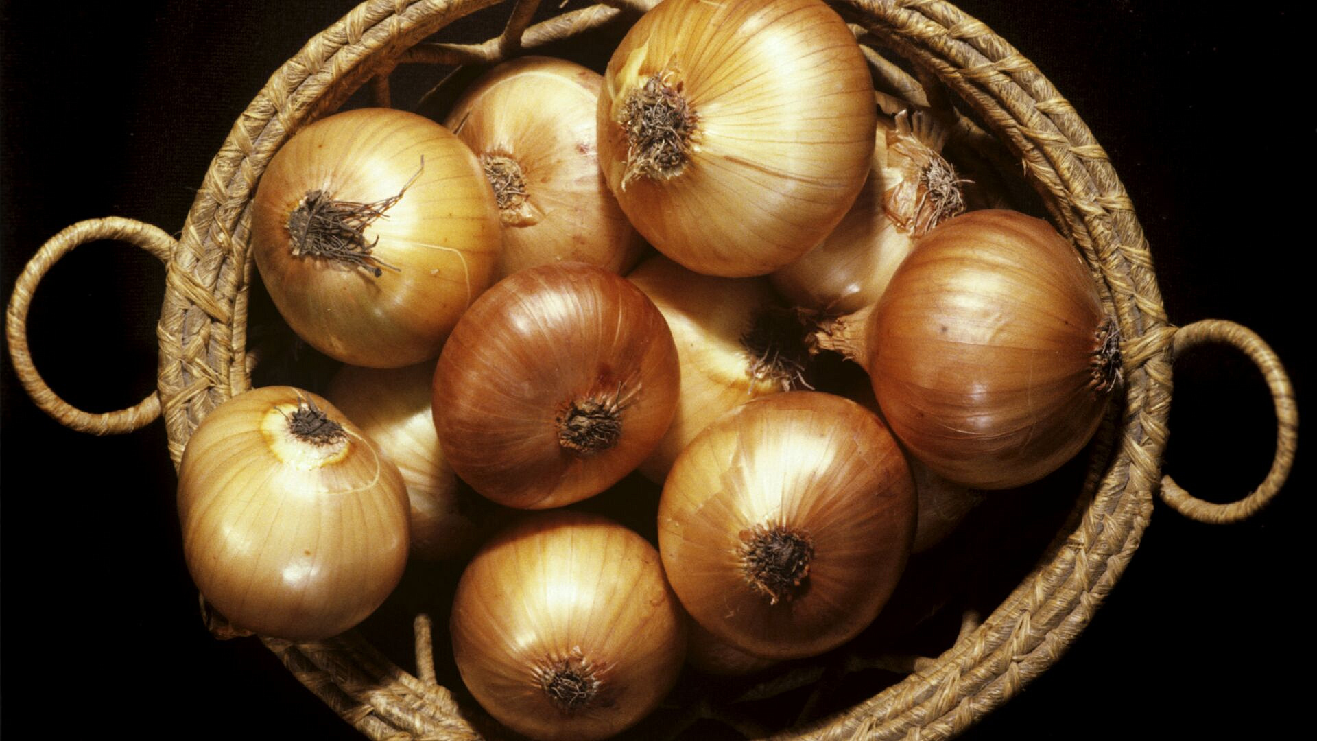 ���� ���������� � �������� ��������� ��������� ����