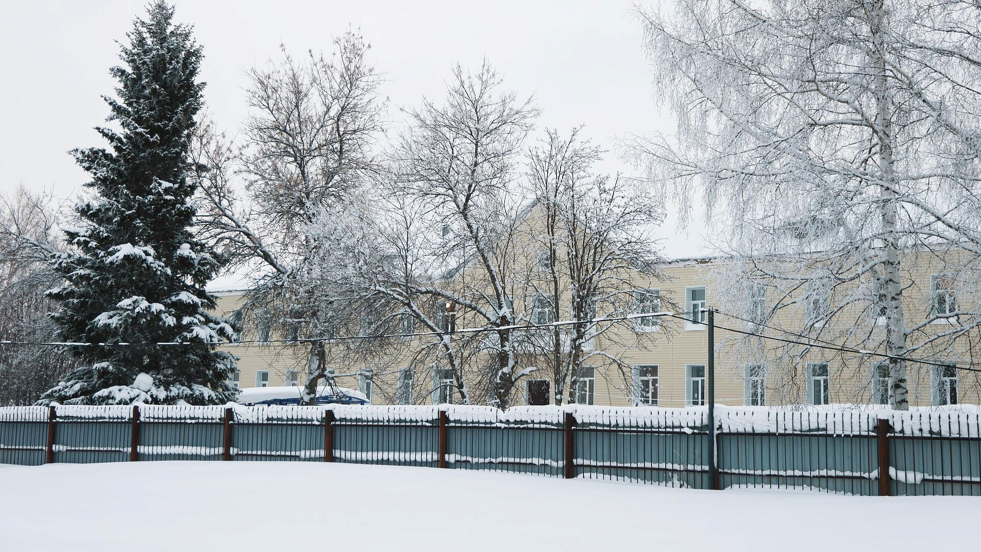 ����� �������� ������� ������������ �� ������� �� ��������� � ������������