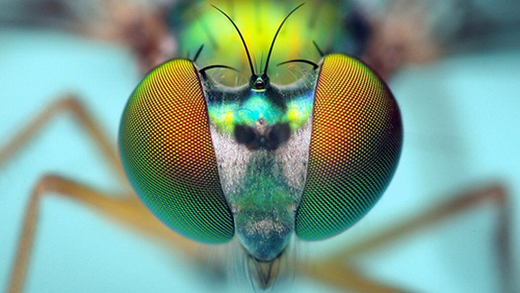 ������ ����������� �� ��������� ������� ���