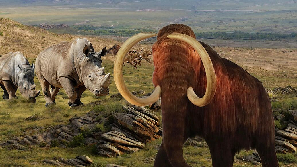 В джунглях обнаружили животных, считавшихся вымершими тысячи лет назад