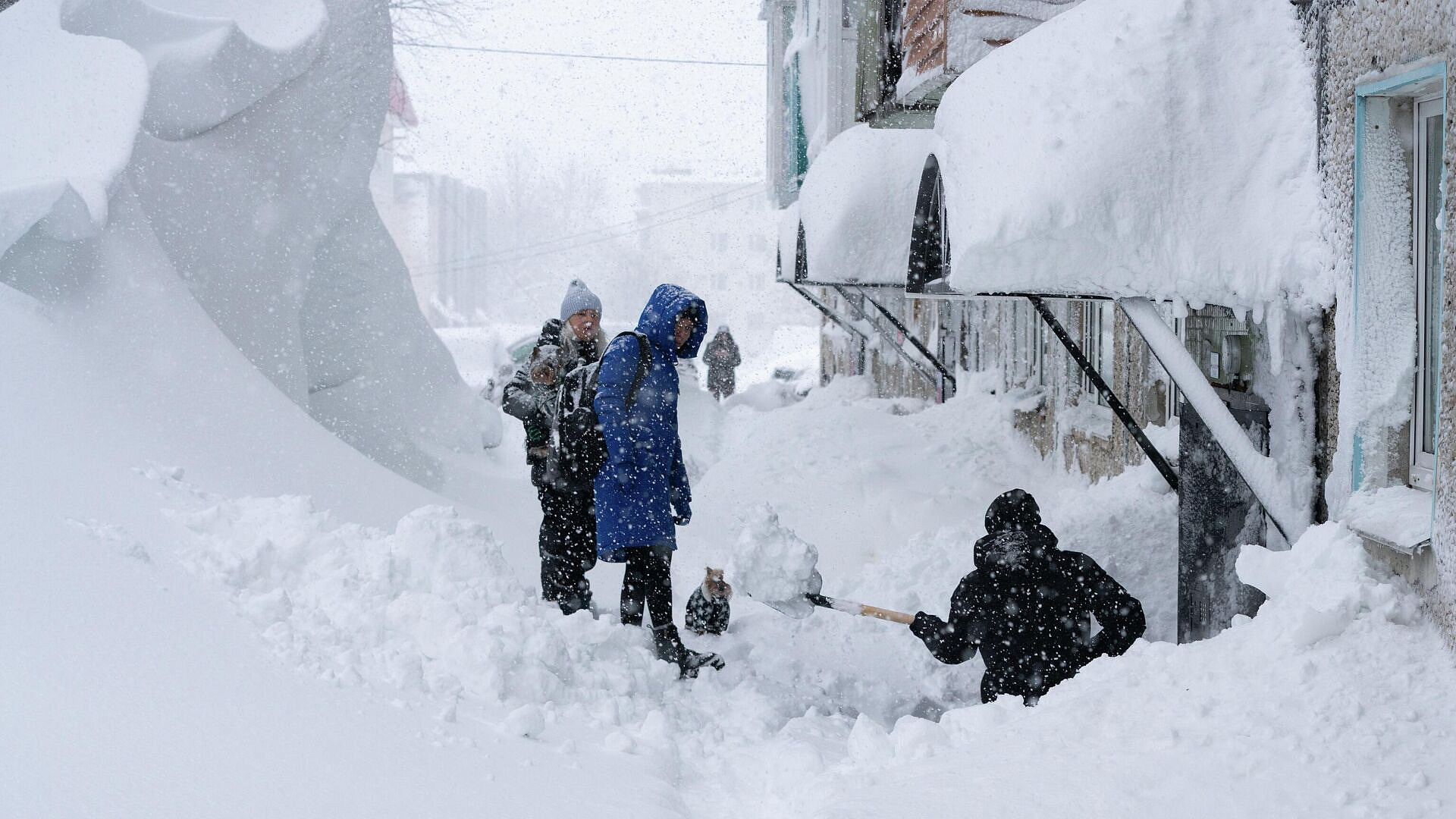 ������� ������� � ��������� 40% ������ �� ����� � ��������������-����������