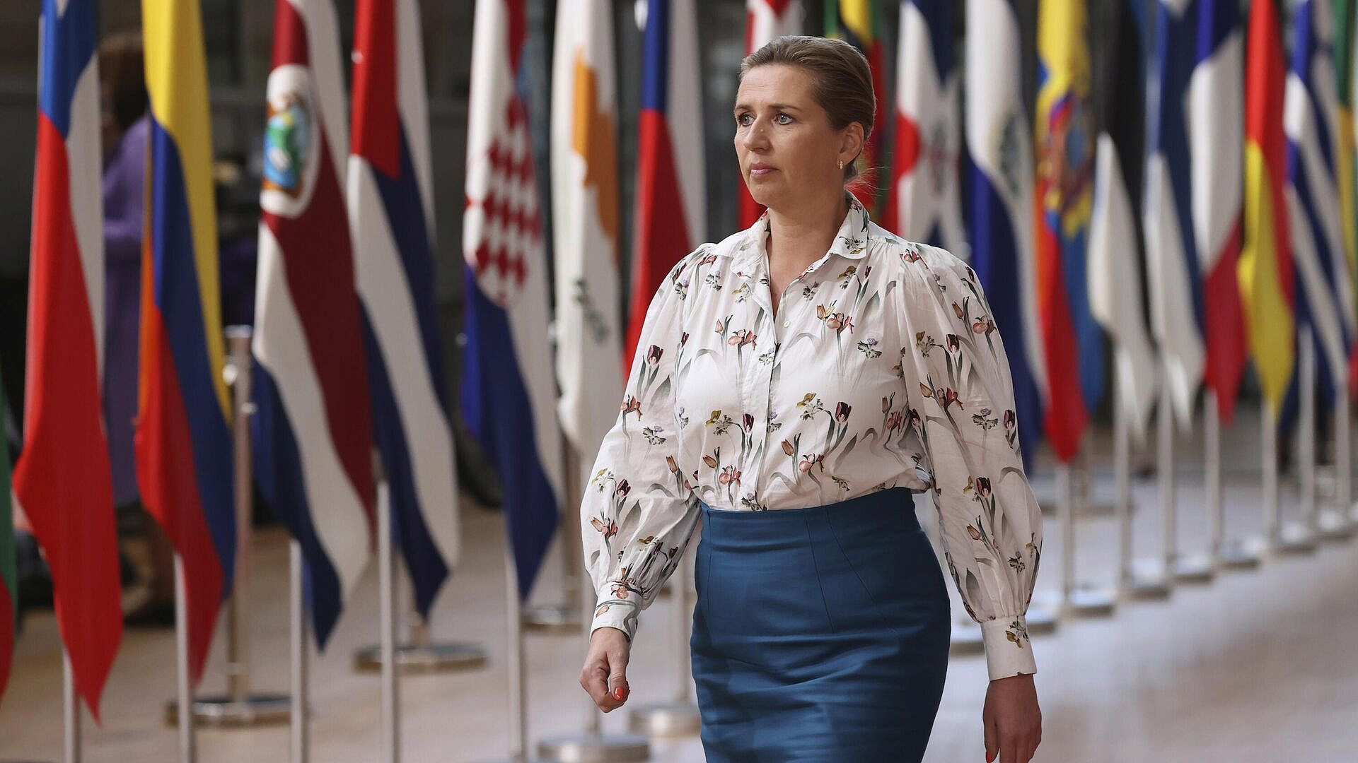 Не нужны. Премьер Дании обратилась к Европе из-за Украины