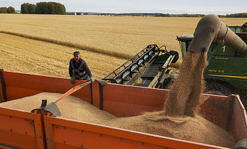 Потребление зерна в России составляет 86 миллионов тонн в год, сообщила Лут