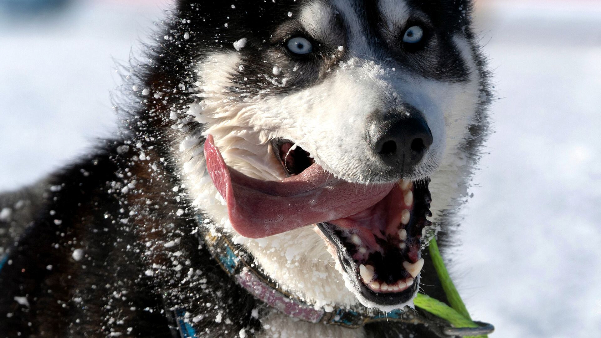 ������� ������� ��������� ������� ��������� ����� �� ������� � ����