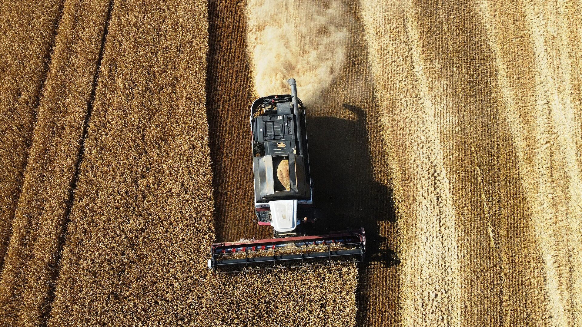 ���������� �������� ������� �� ������ ����� � 2025 ����