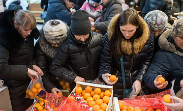 Ситуация на Ближнем Востоке не приведет к дефициту продуктов в России