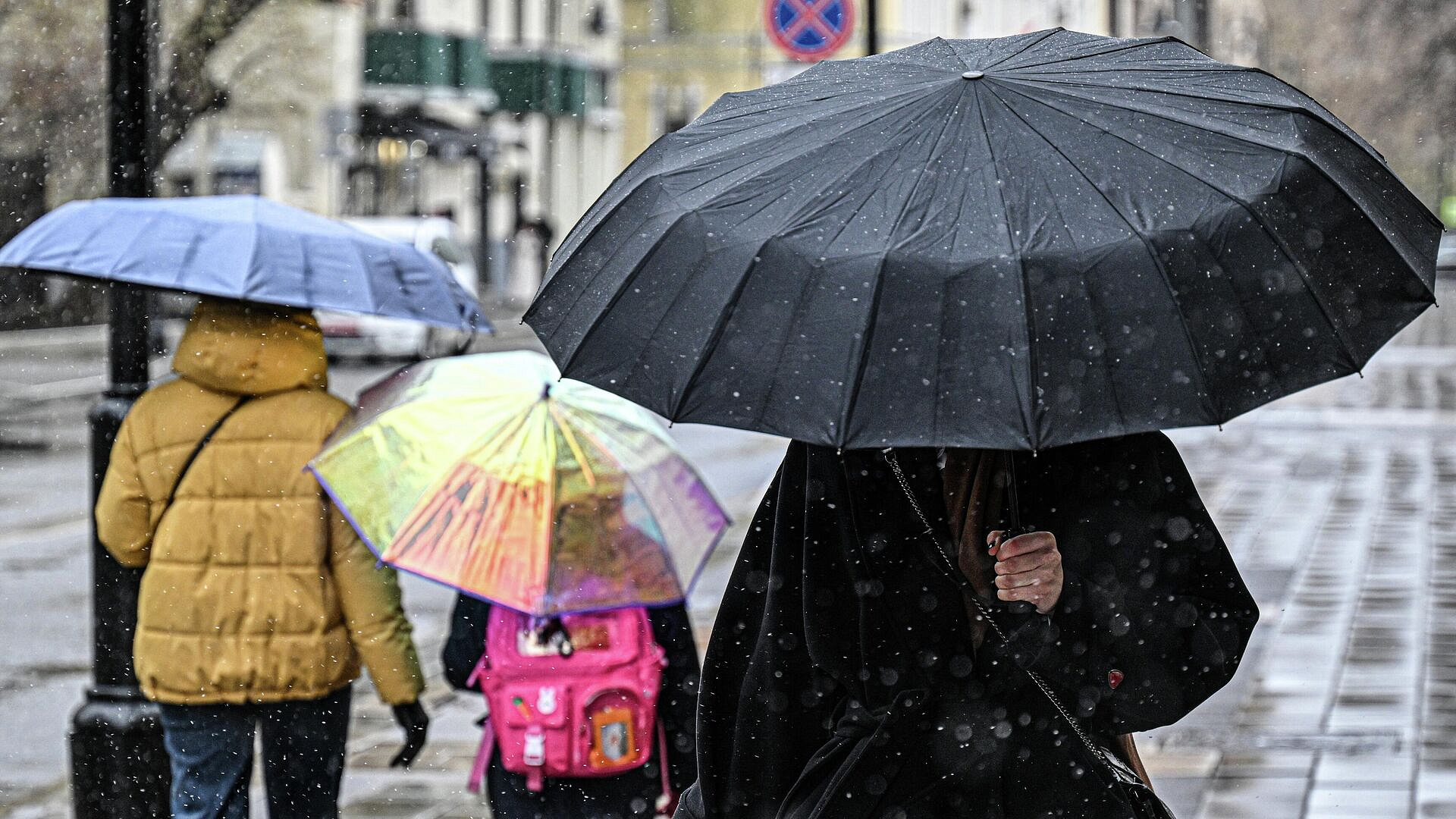 Москвичей призвали использовать городской транспорт для поездок из-за дождя