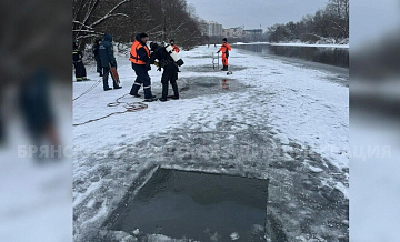 В Брянске в поисках детей обследовали 30,5 тысяч квадратов акватории Десны