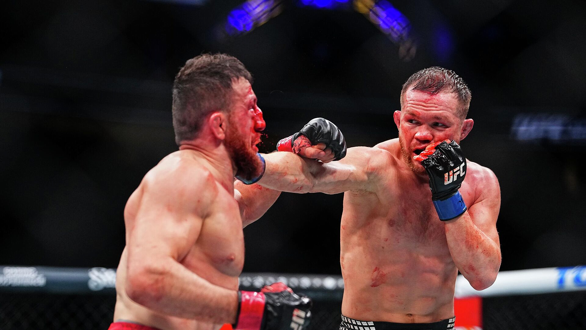 ���� �� ���������, ��� ���������, ������ ���� �������� UFC