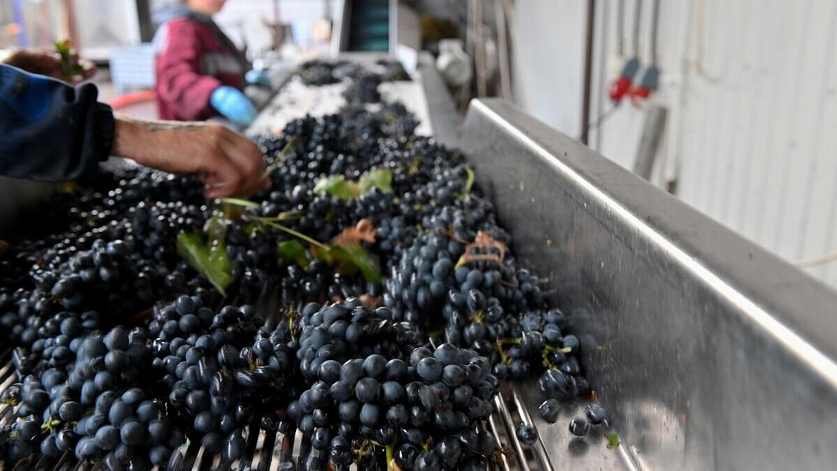 �� ������� ������������ ��������� ������������ �������� � ���� �����