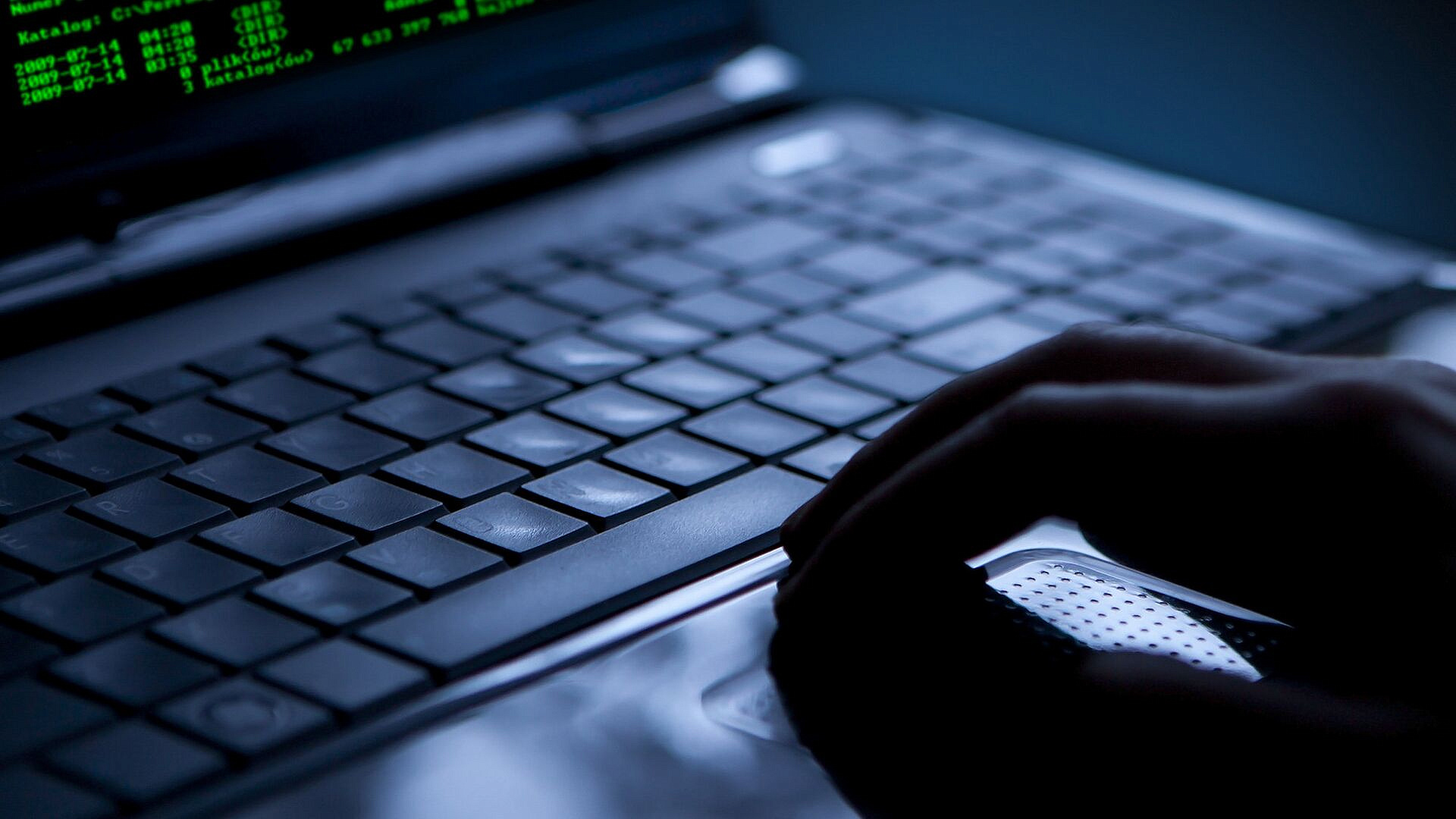 В МВД оценили ущерб от IT-преступлений