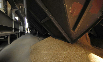 Источник рассказал об планах ЕС ограничить импорт зерновых из России