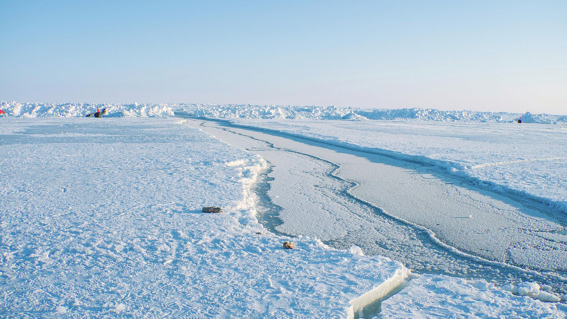 Открылся портал Arctic.ru о развитии российской Арктики и Дальнего Востока