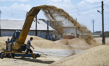 Постпред Гатилов назвал сроки дискуссии с ООН по экспорту российского зерна