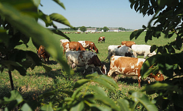 В Минпромторге рассказали о поддержке российских фермеров