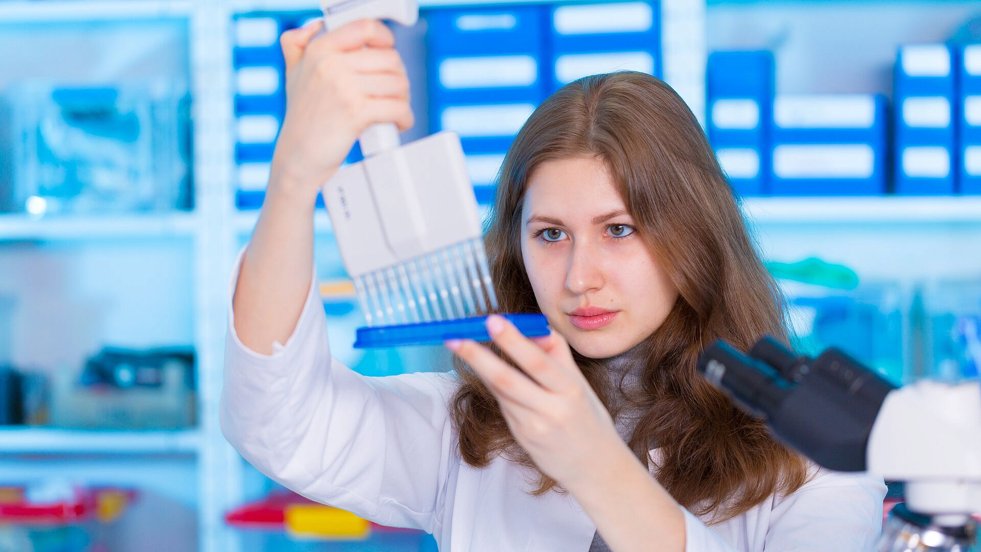 � ������ ������� ��������� ������ ��� ������������ ��������