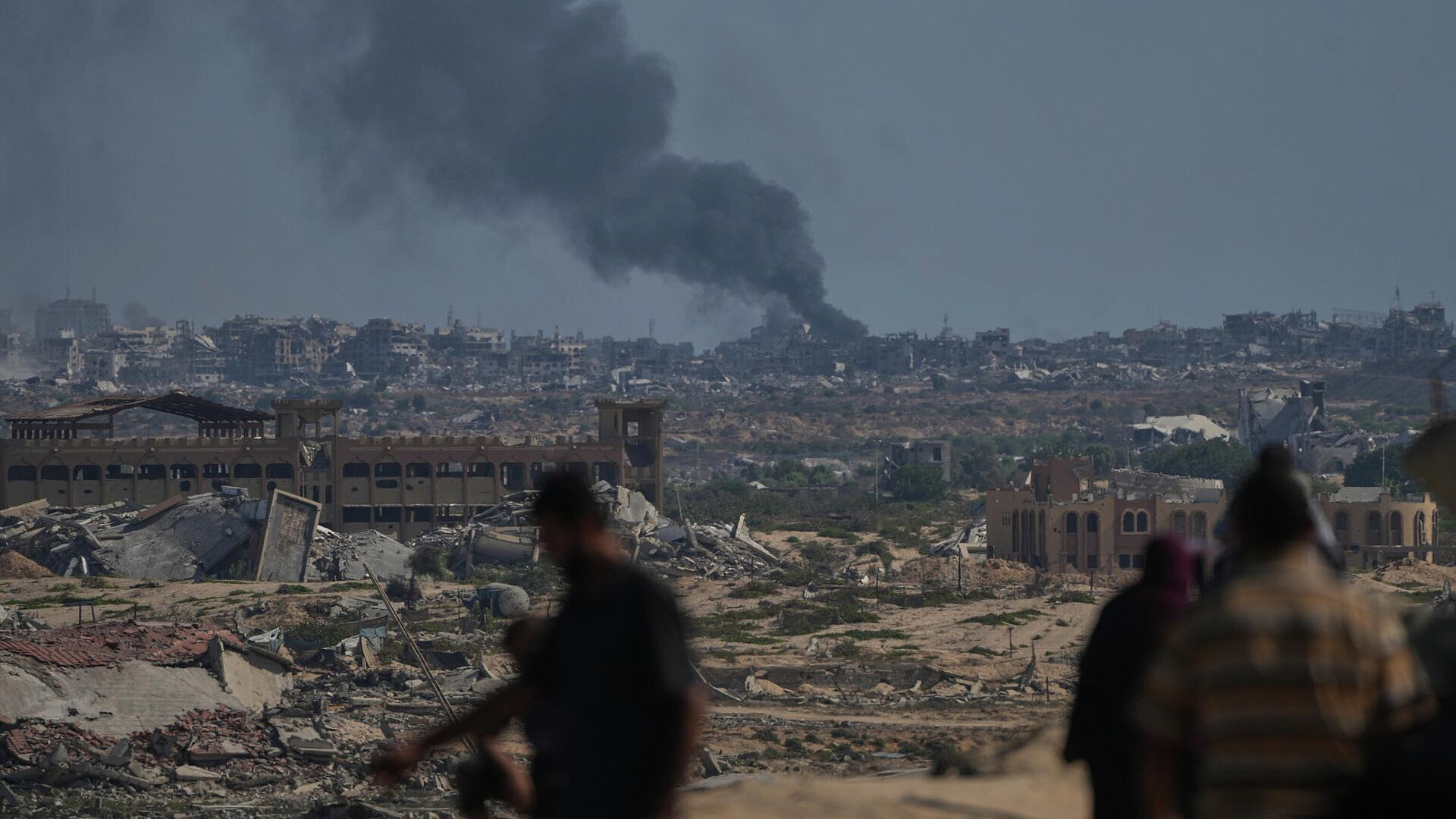 ��� ������ ������� �� ���� �� ���� ������� ����� 20 �������, �������� ���